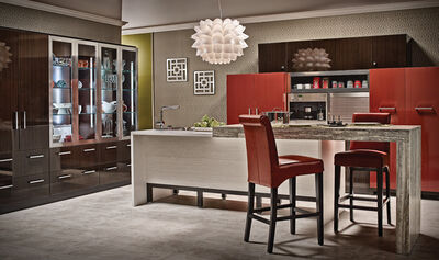 Contemporary Kitchen Cabinets